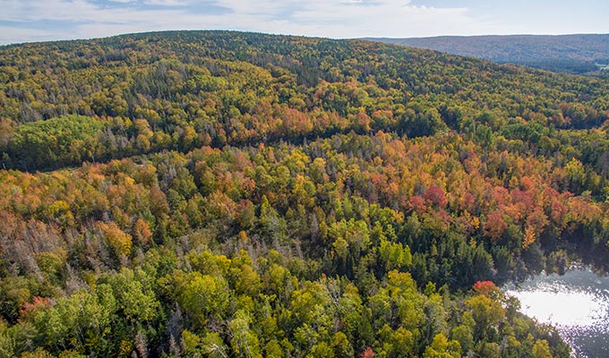 Kanada Immobilien - Grundstücke Nova Scotia - Sheltered Cove Estates - Cape Breton Island - Ufer - See - Wald - Canadian Pioneer Estates Ltd.