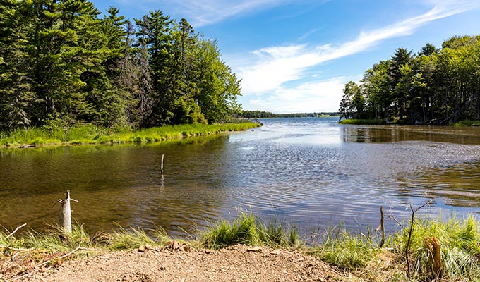 Immobilien Kanada - Cape Breton Island Grundstücke -Beach Peninsula Estates Lot 49