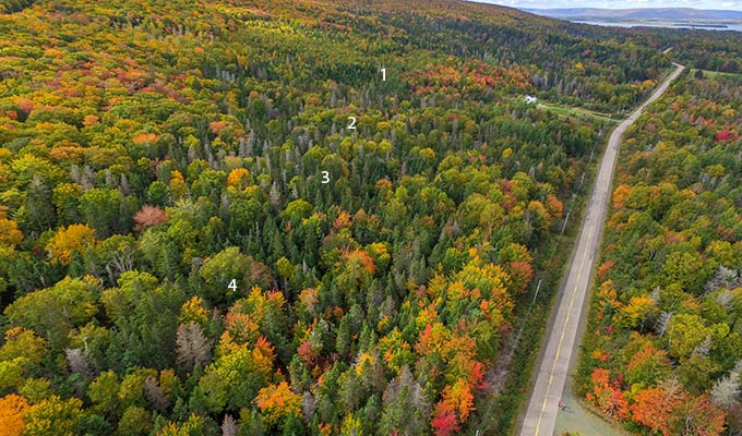 Immobilien Kanada - Cape Breton Island Grundstücke - Peninsula View Estates Lot 1