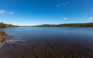 Seeufer am MacInnis Lake, Nähe Sydey auf Cape Breton Island