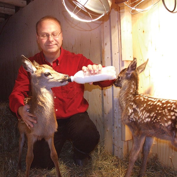 Rolf Bouman: Autarkie auf der kanadischen Hirschfarm Rolf Bouman: Autarkie auf der kanadischen Hirschfarm