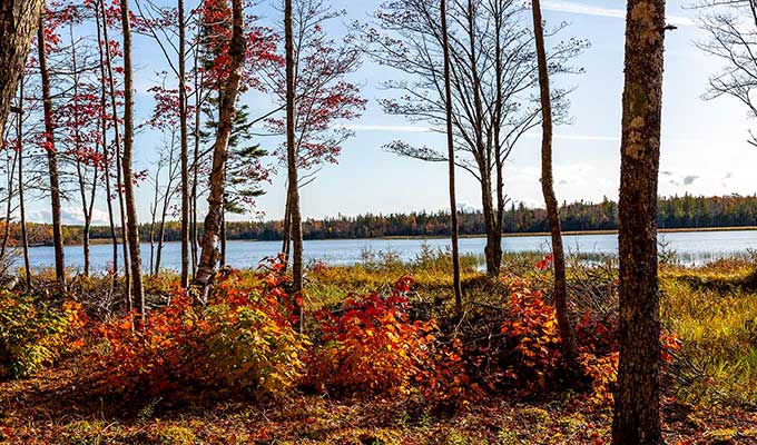 Immobilien Kanada - Nova Scotia - Cape Breton Island - Landerschließungsunternehmen - Beaver Dam Lake Estates