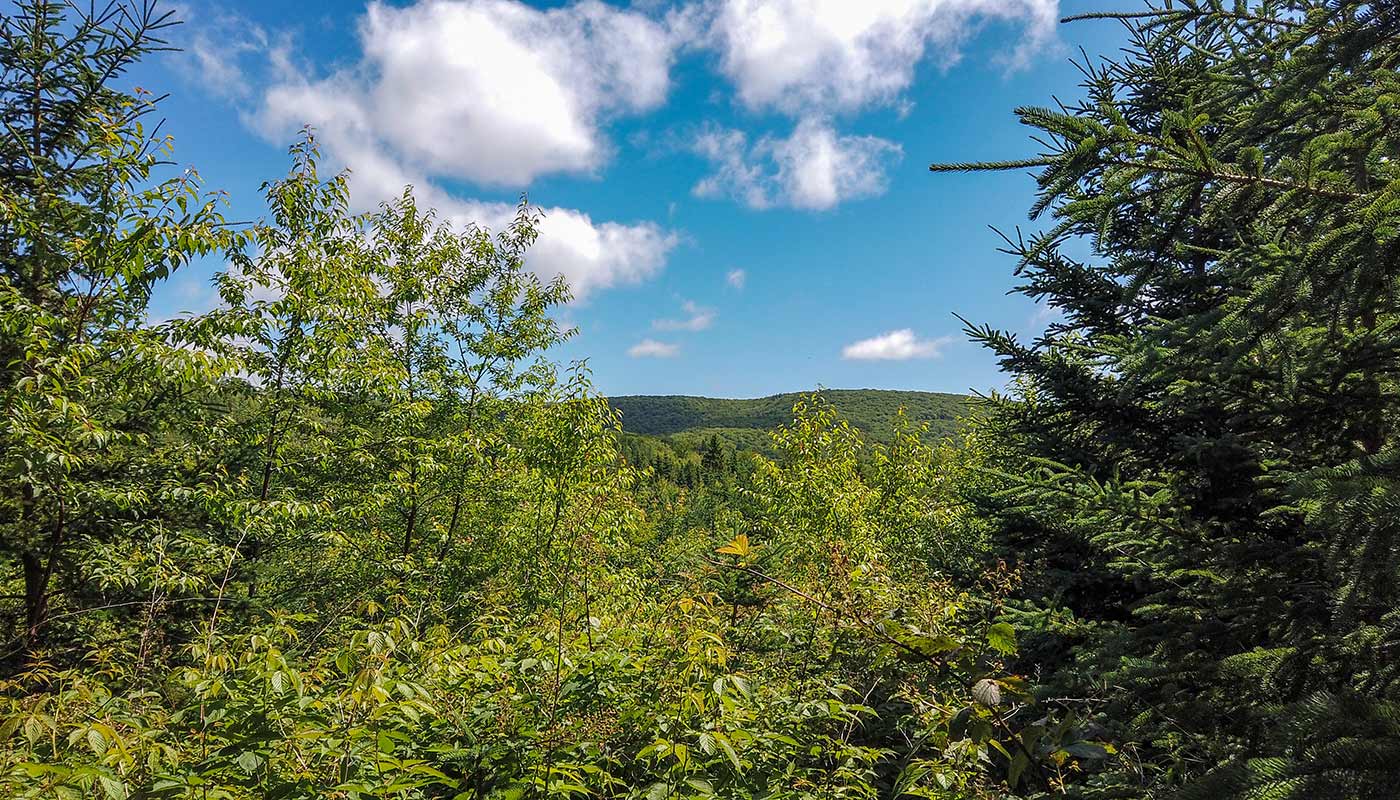 Immobilien Kanada-Cape Breton-Cabot Trail Estates - Blog - Aussicht auf die Hügel in der Umgebung