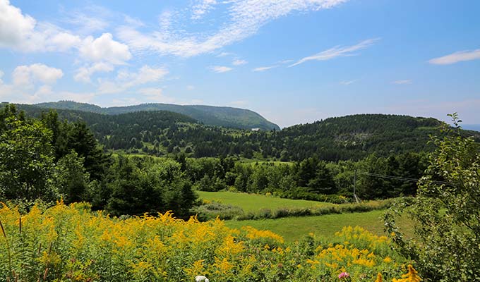 cabot-trail-estates-1 Immobilien Kanada-Cape Breton-Cabot Trail Estates
