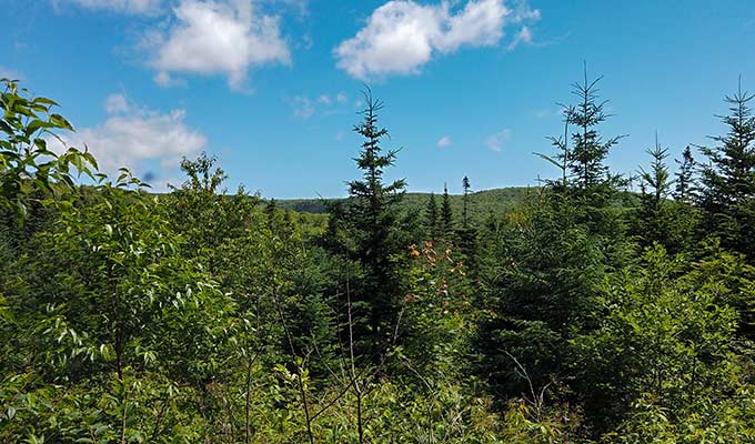 Immobilien am Cabot Trail – Cabot Trail Estates Immobilien Kanada-Cape Breton-Cabot Trail Estates