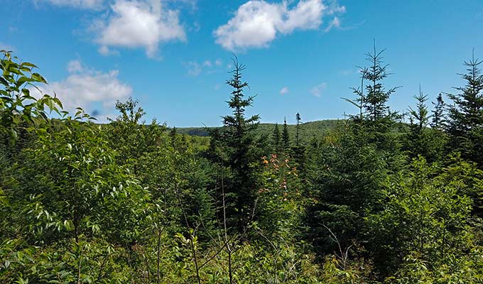 Immobilien Kanada-Cape Breton-Cabot Trail Estates