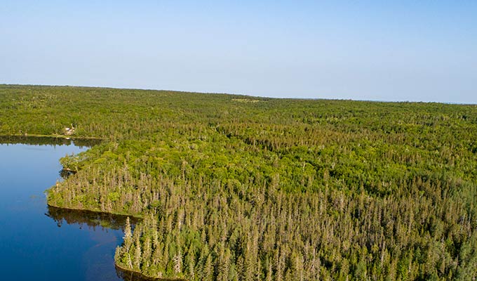 Kanada Immobilien - Cape Breton Island - Waldgrundstücke am See - Fishing Lake Estates 