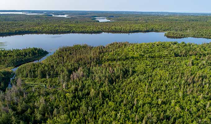 Immobilien Kanada - Cape Breton Island - Waldgrundstücke am See - Fishing Lake Estates