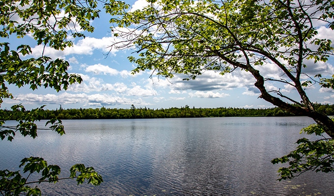 Ein Haus am See in Kanada - Immobilien Kanada - Cape Breton Island - Aussicht vom Haus auf den See