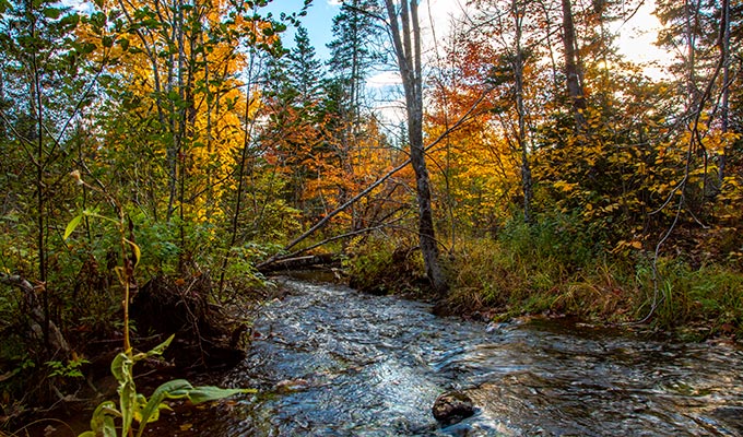 Immobilien in Kanada – Sunset Lake Estates Immobilien in Kanada - Cape Breton - Sunset Lake Estates - Bach