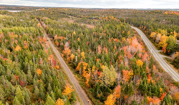 Immobilien-Cape Breton-Sunset Lake Estates Immobilien-Sunset Lake Estates-Trail