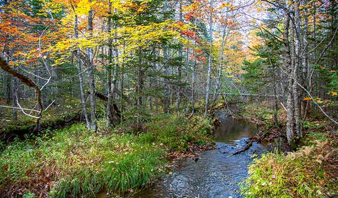 Seegrundstück-Cape Breton-Sunset Lake Estates