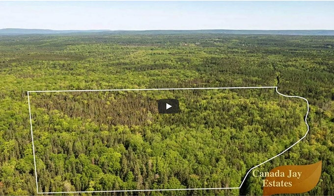 Canada Jay Estates Video. 