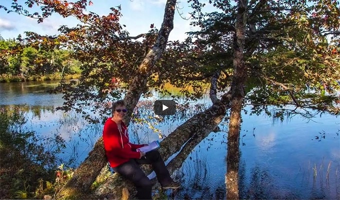 Sunset Lake Estates Lots 1A, 1B und 1C Video