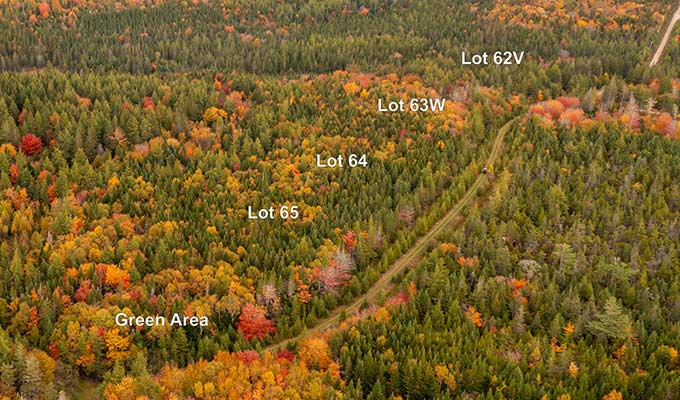 Holgers-Lane-Estates-Luftaufnahme Immobilien Kanada-Cape Breton-Holgers Lane Estates
