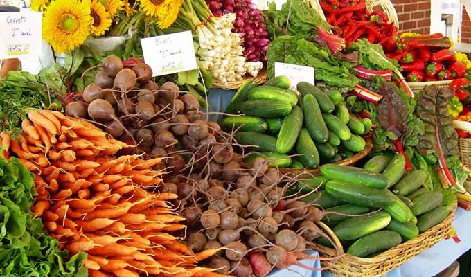 Glencoe-Estates-Angebot-Farmers-Markt Farmers Market Mabou — Immobilien Kanada-Glencoe Estates