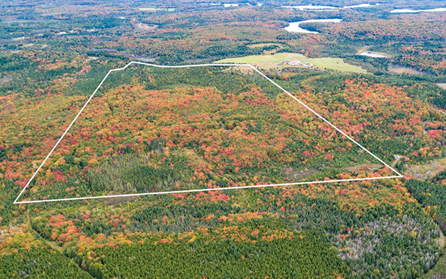 grosses_Grundstueck_Nova_Scotia Luftaufnahme großes Grundstück in Nova Scotia